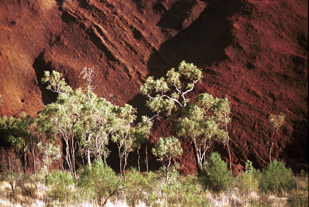 2104-30.jpg - Uluru (Ayers Rock)